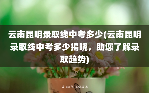 云南昆明录取线中考多少(云南昆明录取线中考多少揭晓，助您了解录取趋势)