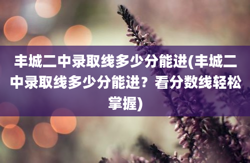 丰城二中录取线多少分能进(丰城二中录取线多少分能进？看分数线轻松掌握)