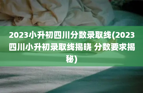 2023小升初四川分数录取线(2023四川小升初录取线揭晓 分数要求揭秘)