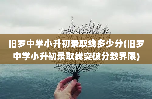 旧罗中学小升初录取线多少分(旧罗中学小升初录取线突破分数界限)