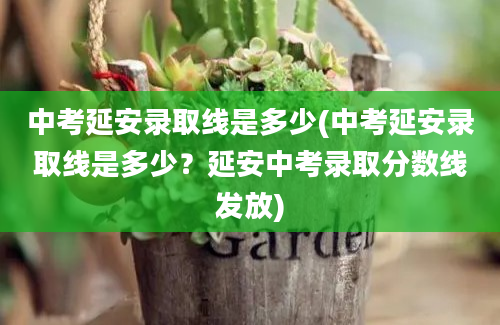 中考延安录取线是多少(中考延安录取线是多少？延安中考录取分数线发放)