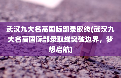 武汉九大名高国际部录取线(武汉九大名高国际部录取线突破边界，梦想启航)