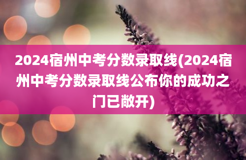 2024宿州中考分数录取线(2024宿州中考分数录取线公布你的成功之门已敞开)