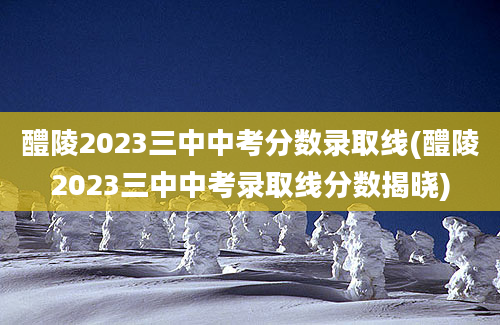 醴陵2023三中中考分数录取线(醴陵2023三中中考录取线分数揭晓)