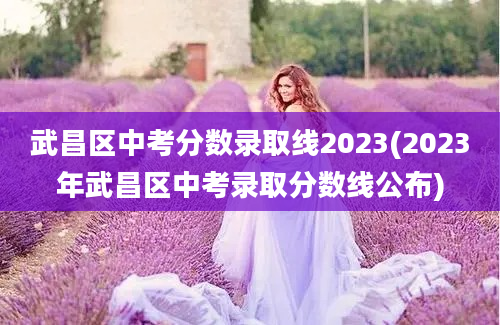 武昌区中考分数录取线2023(2023年武昌区中考录取分数线公布)