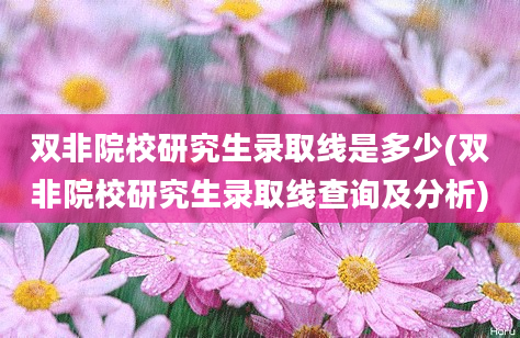 双非院校研究生录取线是多少(双非院校研究生录取线查询及分析)