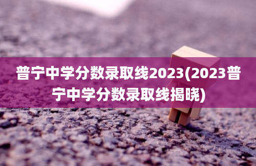 普宁中学分数录取线2023(2023普宁中学分数录取线揭晓)