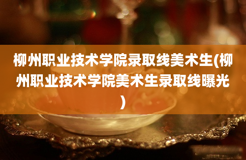 柳州职业技术学院录取线美术生(柳州职业技术学院美术生录取线曝光)