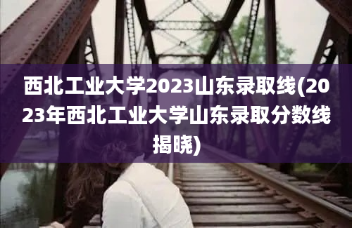 西北工业大学2023山东录取线(2023年西北工业大学山东录取分数线揭晓)