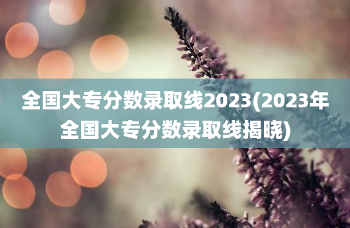 全国大专分数录取线2023(2023年全国大专分数录取线揭晓)