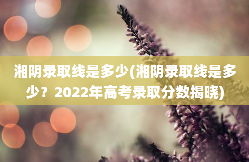 湘阴录取线是多少(湘阴录取线是多少？2022年高考录取分数揭晓)