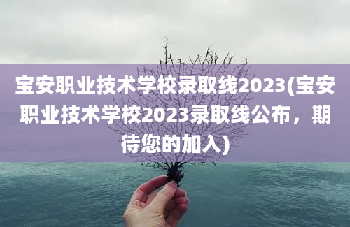 宝安职业技术学校录取线2023(宝安职业技术学校2023录取线公布，期待您的加入)