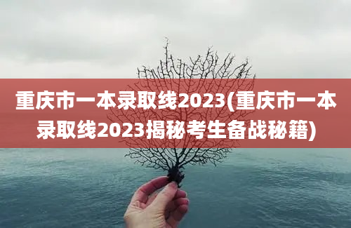 重庆市一本录取线2023(重庆市一本录取线2023揭秘考生备战秘籍)