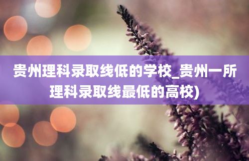 贵州理科录取线低的学校_贵州一所理科录取线最低的高校)