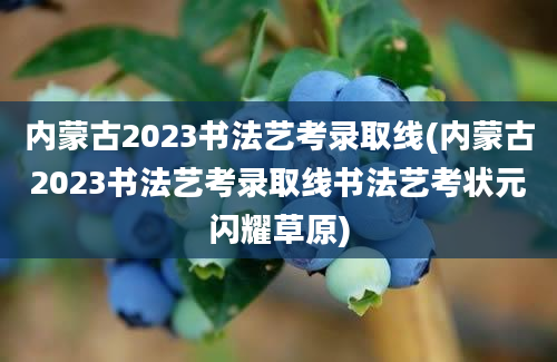 内蒙古2023书法艺考录取线(内蒙古2023书法艺考录取线书法艺考状元闪耀草原)