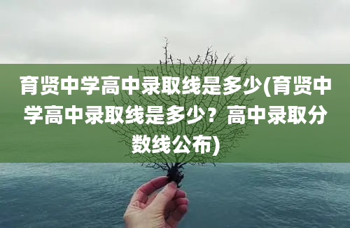 育贤中学高中录取线是多少(育贤中学高中录取线是多少？高中录取分数线公布)