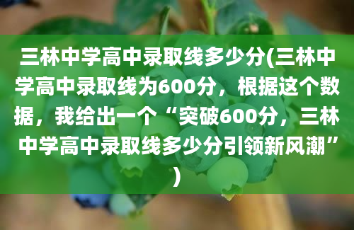 三林中学高中录取线多少分(三林中学高中录取线为600分，根据这个数据，我给出一个“突破600分，三林中学高中录取线多少分引领新风潮”)