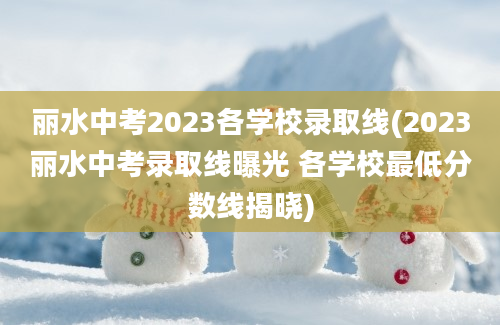 丽水中考2023各学校录取线(2023丽水中考录取线曝光 各学校最低分数线揭晓)