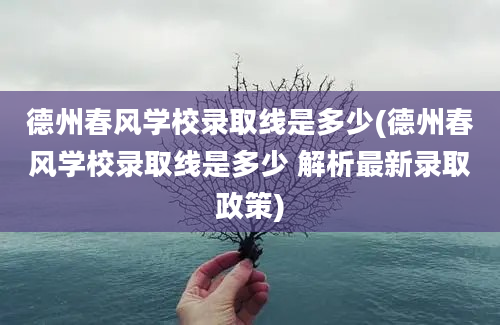 德州春风学校录取线是多少(德州春风学校录取线是多少 解析最新录取政策)