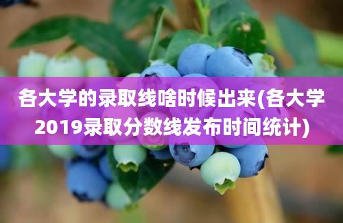 各大学的录取线啥时候出来(各大学2019录取分数线发布时间统计)