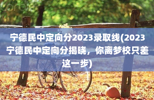 宁德民中定向分2023录取线(2023宁德民中定向分揭晓，你离梦校只差这一步)