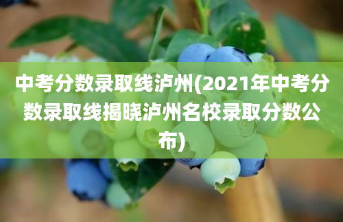 中考分数录取线泸州(2021年中考分数录取线揭晓泸州名校录取分数公布)