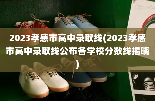 2023孝感市高中录取线(2023孝感市高中录取线公布各学校分数线揭晓)