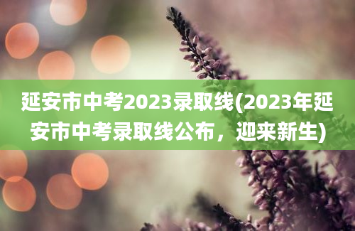 延安市中考2023录取线(2023年延安市中考录取线公布，迎来新生)