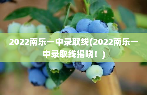 2022南乐一中录取线(2022南乐一中录取线揭晓！)