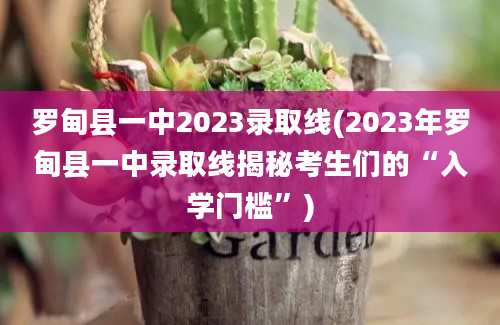 罗甸县一中2023录取线(2023年罗甸县一中录取线揭秘考生们的“入学门槛”)