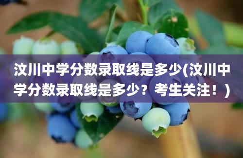 汶川中学分数录取线是多少(汶川中学分数录取线是多少？考生关注！)