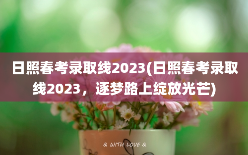 日照春考录取线2023(日照春考录取线2023，逐梦路上绽放光芒)