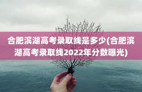 合肥滨湖高考录取线是多少(合肥滨湖高考录取线2022年分数曝光)