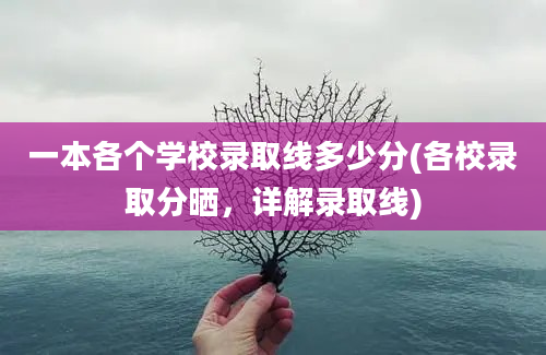 一本各个学校录取线多少分(各校录取分晒，详解录取线)