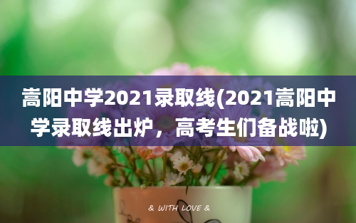 嵩阳中学2021录取线(2021嵩阳中学录取线出炉，高考生们备战啦)