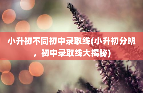 小升初不同初中录取线(小升初分班，初中录取线大揭秘)