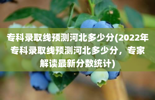 专科录取线预测河北多少分(2022年专科录取线预测河北多少分，专家解读最新分数统计)