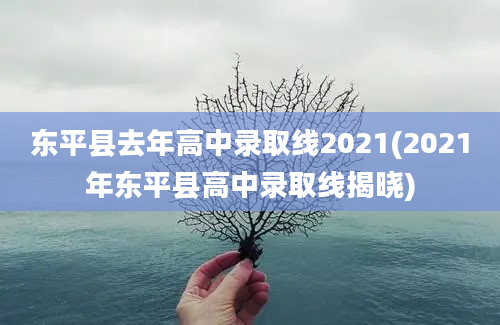 东平县去年高中录取线2021(2021年东平县高中录取线揭晓)