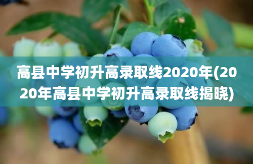 高县中学初升高录取线2020年(2020年高县中学初升高录取线揭晓)