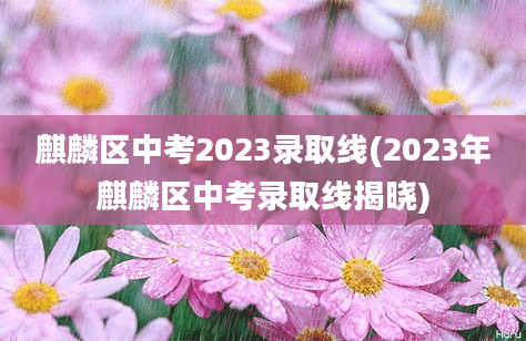 麒麟区中考2023录取线(2023年麒麟区中考录取线揭晓)