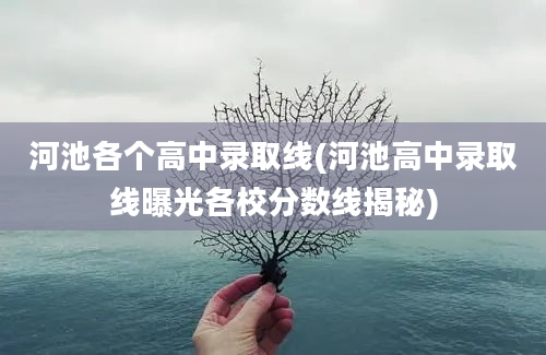 河池各个高中录取线(河池高中录取线曝光各校分数线揭秘)