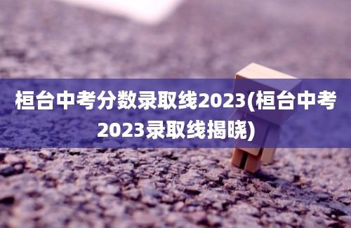 桓台中考分数录取线2023(桓台中考2023录取线揭晓)