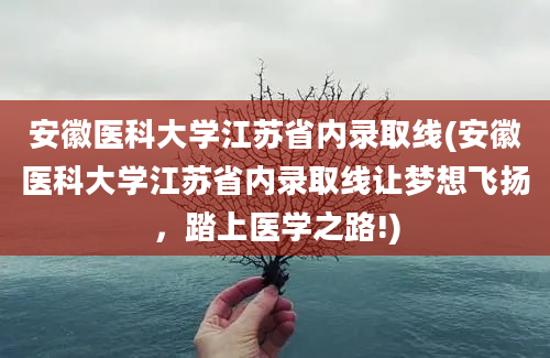 安徽医科大学江苏省内录取线(安徽医科大学江苏省内录取线让梦想飞扬，踏上医学之路!)