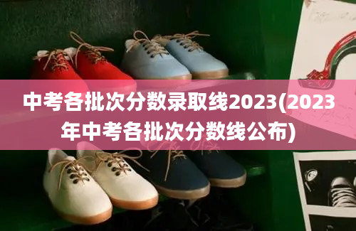 中考各批次分数录取线2023(2023年中考各批次分数线公布)