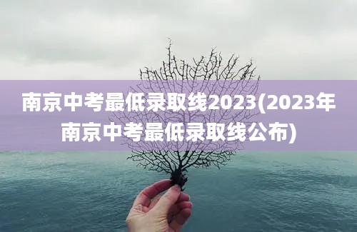 南京中考最低录取线2023(2023年南京中考最低录取线公布)