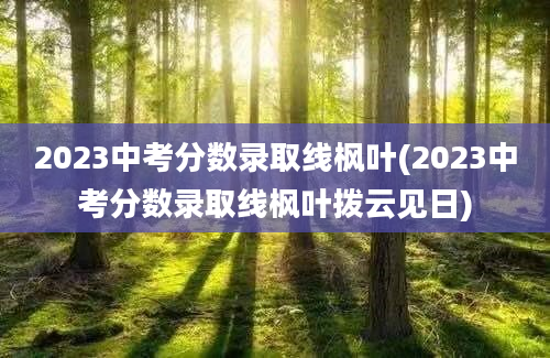 2023中考分数录取线枫叶(2023中考分数录取线枫叶拨云见日)