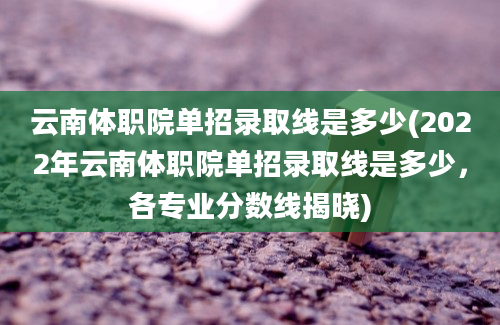 云南体职院单招录取线是多少(2022年云南体职院单招录取线是多少，各专业分数线揭晓)