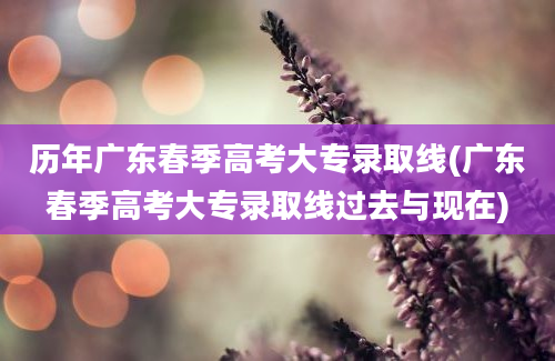 历年广东春季高考大专录取线(广东春季高考大专录取线过去与现在)