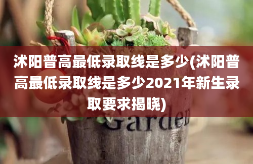 沭阳普高最低录取线是多少(沭阳普高最低录取线是多少2021年新生录取要求揭晓)