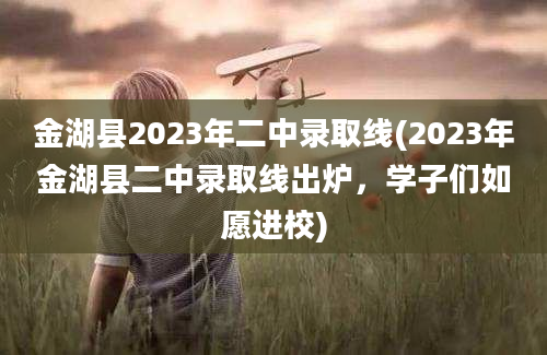 金湖县2023年二中录取线(2023年金湖县二中录取线出炉，学子们如愿进校)